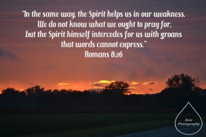 Sarah Roap Romans 8-26