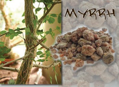 myrrh