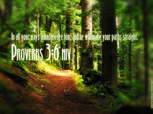 proverbs-36_2821_1024x768