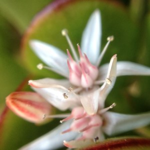 8491842451_308eb69dd1_o