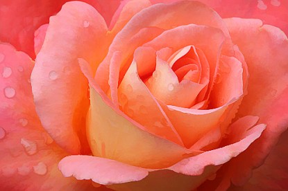 3513957969_384a6f45ac