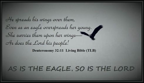 4ffd5fa25fbd4e401e15ae1fe344938f