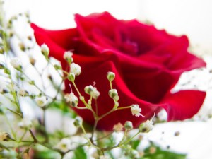 5459475850_7887e5c453_z