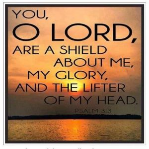 f74d4bae680c7ed0bb80f31d68a4bd72