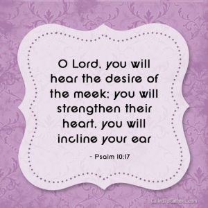 c7f50f37de05f692e131e54ac399b328