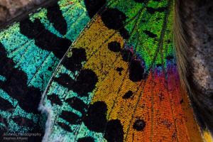 MM7820_090523_20124_xgaplus