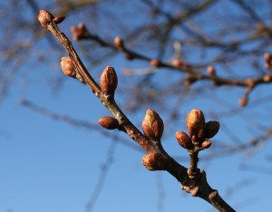 tumblr_ml0oqnNcYG1r68th6o1_1280