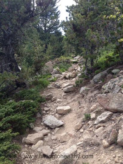 lower-part-of-the-trail-as-we-got-closer-to-the-stream