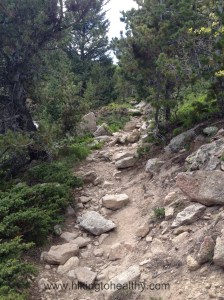 lower-part-of-the-trail-as-we-got-closer-to-the-stream