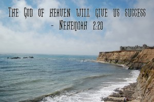 13498c445c1e1c4e8f0c84056a33f287