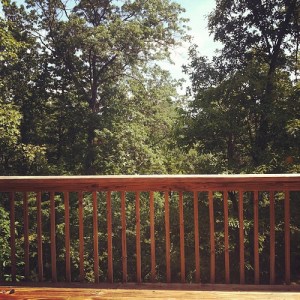 7615789806_fecc12133d