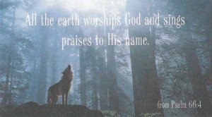 il_570xN.403823930_lgif