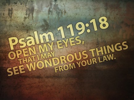 b4015e676ff0bec5726ece111fd8d5ee