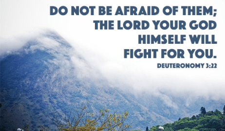 cm-deuteronomy-3-22-social-138x80