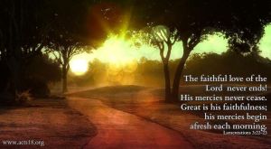 ef03f9e29f19624eaa836b41accd6d80