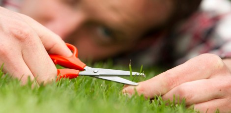 Obsessive man laying on grass, perfection