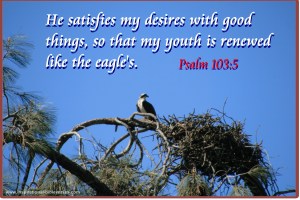 Psalms103.5