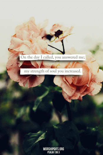 tumblr_n6al7hhRSw1rzadffo1_500