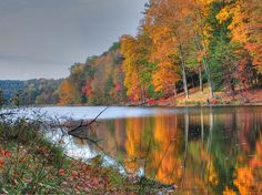 893cc0753252d34a0ed621d25e006056