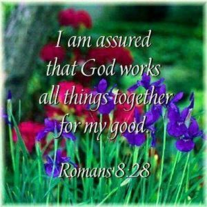 d36bad481a9dcf7581f648d480385b61