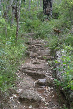 Rocky_pathway