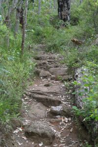 Rocky_pathway