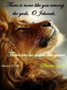 85d81ac7ab8a0b3947d92604f1091b4f