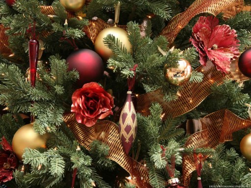 Close-Up-Christmas-Tree-570268