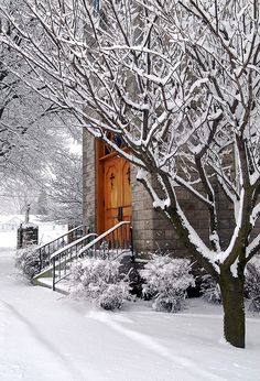 d54881f673bc3e77e2711ab65d0ca5dd