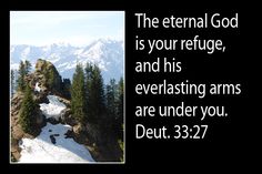 43e033b5445c40029b82903ba9f3031d