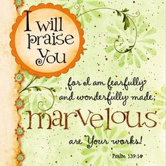 2623c0fd18c33f4b8cf93ca72614c796