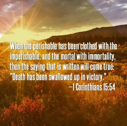 ac7e84ccd3f21b2fff7bc9c1293097e7