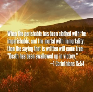 ac7e84ccd3f21b2fff7bc9c1293097e7