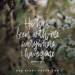 fd3ddff270b84696468cc48b3a806d08