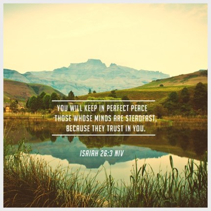 751b7e9d6085438c5ca66116d6690f1b