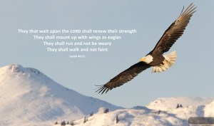 f9e249d4cf00edc142a701994e9771e6