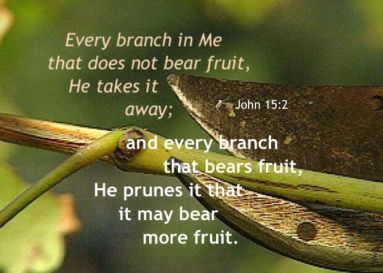 46dd131cacc19b855d589b3358b83851