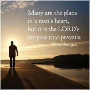 041185d55067fa351a673ae25749dd81