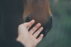 7a2ec1fb4dc7fb0a135a84db27d506cf