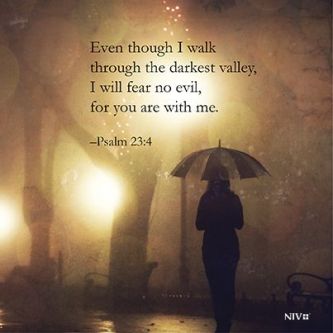 85b69ed50e50db3a1e98b9367bcd3553