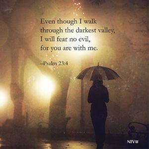 85b69ed50e50db3a1e98b9367bcd3553