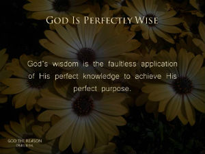 Pilgrims-Rock-gods-wisdom-is-faultless-application-of-his-perfect-knowledge-300w