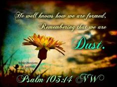 0aa0797ca313789431143703a9dea838