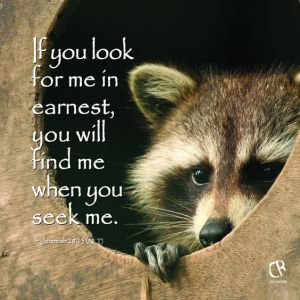 2958f422983b6512856e42b6b07d56eb