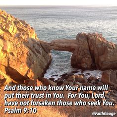 a08f3c260c4d86229c5e2290aab9d09d