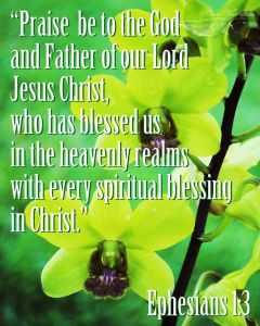 c55bcecf2b75dbddc64093d554ffd077