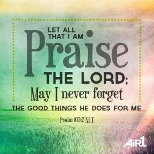 ce609cc703524583a5612651768d1b6a