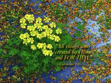 colossians-116_5541_1024x768