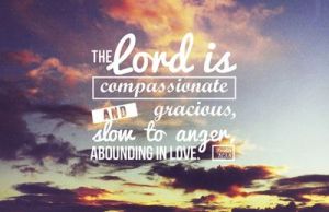 f2444db203802ba507f32fe9a95cdd56