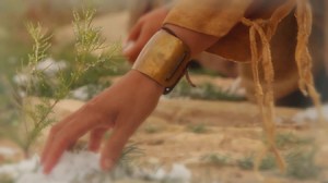 hand-manna-daily-bread_1300033_inl